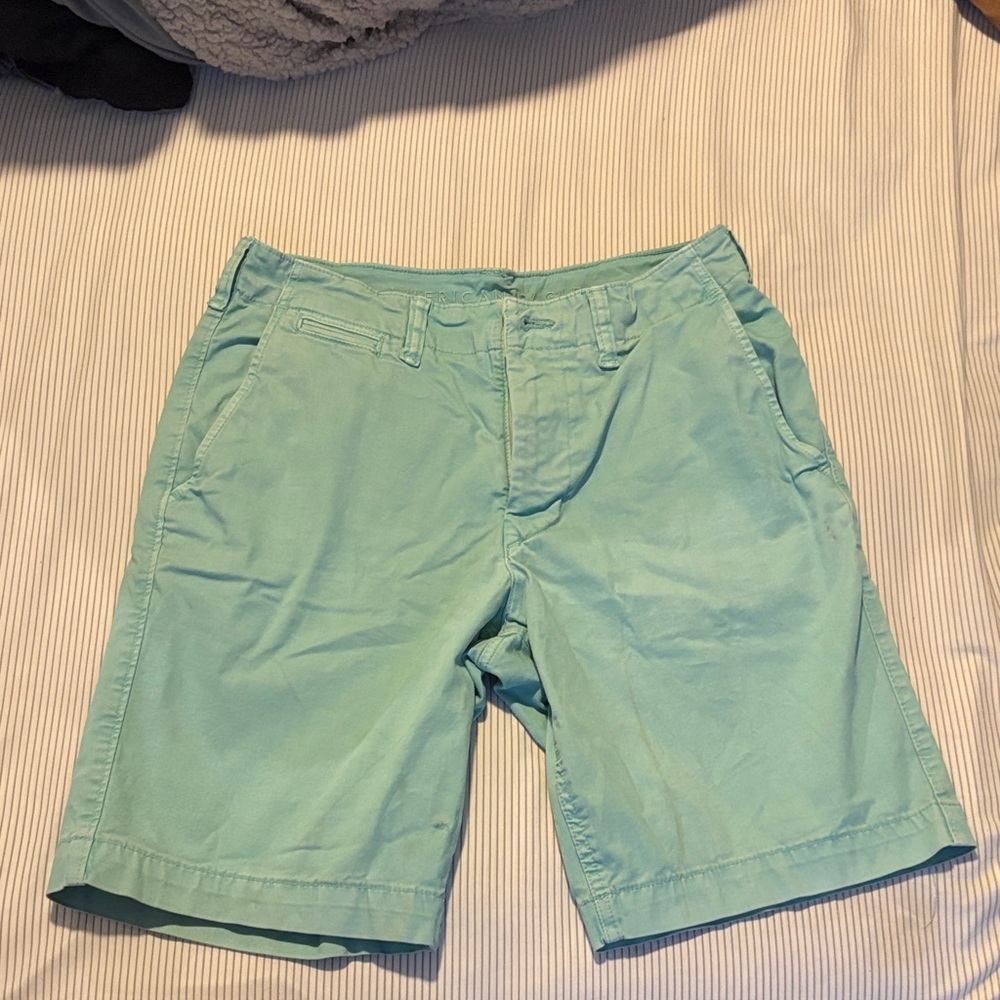 American Eagle Outfitters Light Green Flat Front Shorts